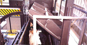 処理方法の解説写真