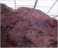 堆肥の生成過程の解説写真
